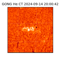 gong - 2024-09-14T20:00:42