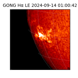 gong - 2024-09-14T01:00:42