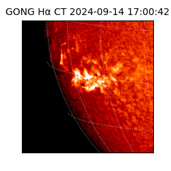 gong - 2024-09-14T17:00:42