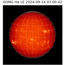 gong - 2024-09-14T03:00:42