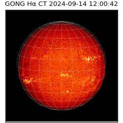 gong - 2024-09-14T12:00:42