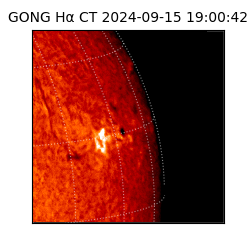 gong - 2024-09-15T19:00:42