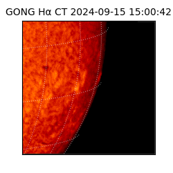 gong - 2024-09-15T15:00:42