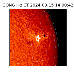 gong - 2024-09-15T14:00:42
