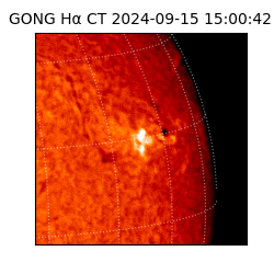 gong - 2024-09-15T15:00:42
