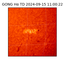 gong - 2024-09-15T11:00:22
