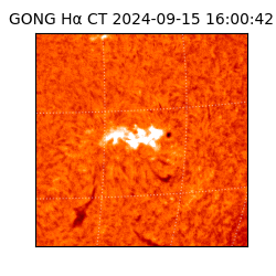 gong - 2024-09-15T16:00:42