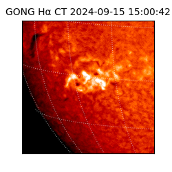 gong - 2024-09-15T15:00:42