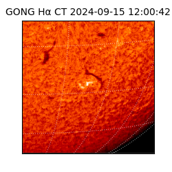 gong - 2024-09-15T12:00:42