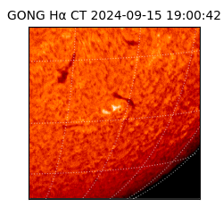 gong - 2024-09-15T19:00:42