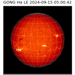 gong - 2024-09-15T05:00:42