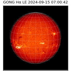 gong - 2024-09-15T07:00:42