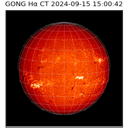 gong - 2024-09-15T15:00:42