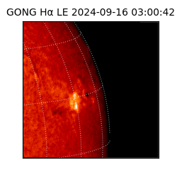 gong - 2024-09-16T03:00:42