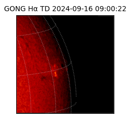 gong - 2024-09-16T09:00:22