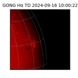 gong - 2024-09-16T10:00:22