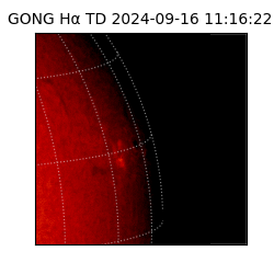 gong - 2024-09-16T11:16:22