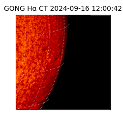 gong - 2024-09-16T12:00:42