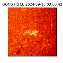 gong - 2024-09-16T03:00:42