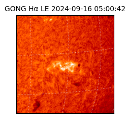 gong - 2024-09-16T05:00:42