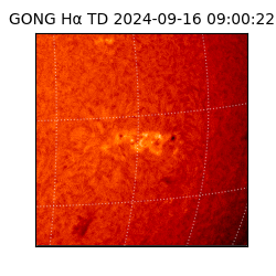 gong - 2024-09-16T09:00:22