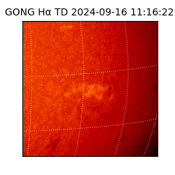 gong - 2024-09-16T11:16:22
