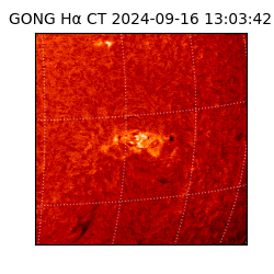 gong - 2024-09-16T13:03:42