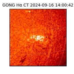 gong - 2024-09-16T14:00:42