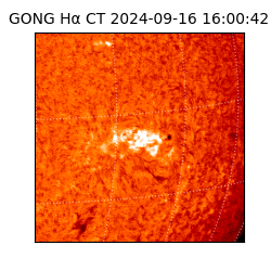 gong - 2024-09-16T16:00:42