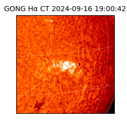 gong - 2024-09-16T19:00:42