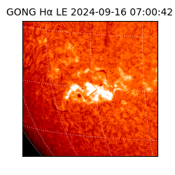 gong - 2024-09-16T07:00:42