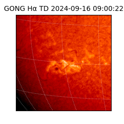 gong - 2024-09-16T09:00:22