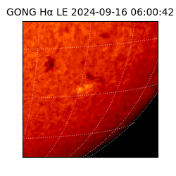 gong - 2024-09-16T06:00:42