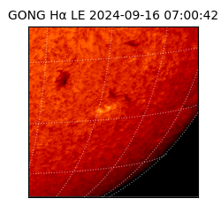 gong - 2024-09-16T07:00:42