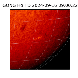 gong - 2024-09-16T09:00:22