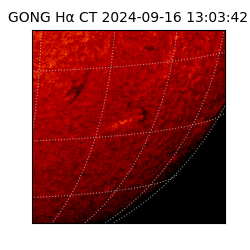 gong - 2024-09-16T13:03:42