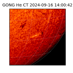 gong - 2024-09-16T14:00:42