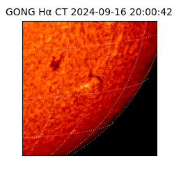 gong - 2024-09-16T20:00:42