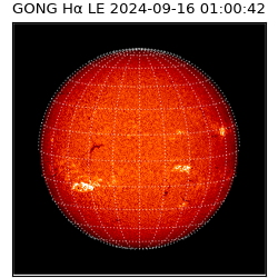 gong - 2024-09-16T01:00:42