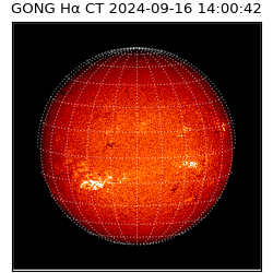 gong - 2024-09-16T14:00:42