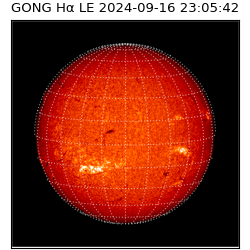 gong - 2024-09-16T23:05:42