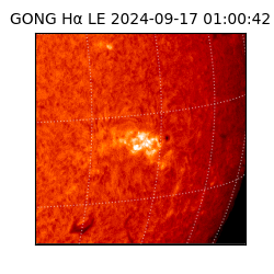 gong - 2024-09-17T01:00:42