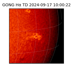 gong - 2024-09-17T10:00:22