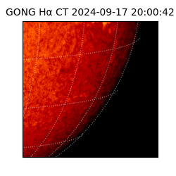 gong - 2024-09-17T20:00:42