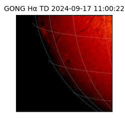 gong - 2024-09-17T11:00:22