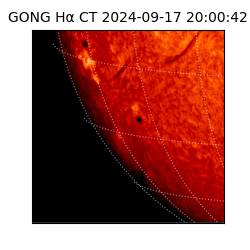 gong - 2024-09-17T20:00:42