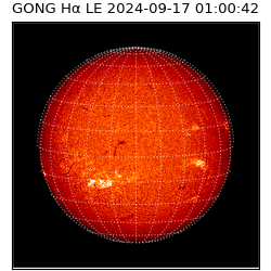 gong - 2024-09-17T01:00:42