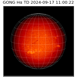 gong - 2024-09-17T11:00:22