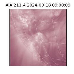 saia - 2024-09-18T09:00:09.631000