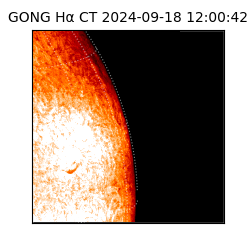 gong - 2024-09-18T12:00:42